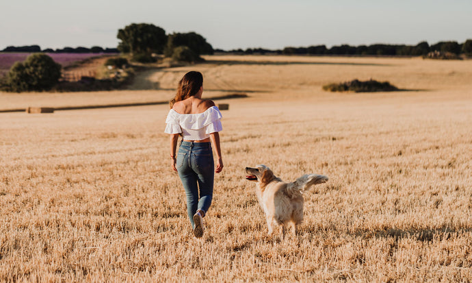 What Are Blue Zones? 9 Longevity Lifestyle Tips